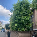 line_oa_chat_250518_211248_group_0