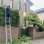 庭の草刈り、青葉区で困ったら便利屋へ!プロが徹底解決