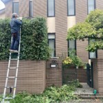 line_oa_chat_250518_211248_group_2