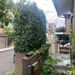 line_oa_chat_250518_211248_group_3