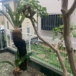 line_oa_chat_250518_211248_group_5