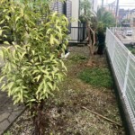 line_oa_chat_250518_211248_group_7