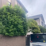 line_oa_chat_250518_211253_group_0