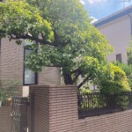 line_oa_chat_250518_211253_group_2