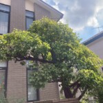 line_oa_chat_250518_211253_group_3