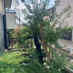 line_oa_chat_250518_211253_group_5