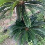 line_oa_chat_250518_211253_group_7