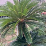 line_oa_chat_250518_211253_group_8