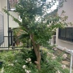 line_oa_chat_250518_211253_group_9