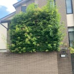 line_oa_chat_250518_211257_group_0