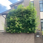 line_oa_chat_250518_211257_group_1