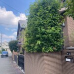 line_oa_chat_250518_211257_group_2